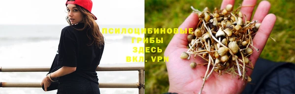 ешки Белоозёрский