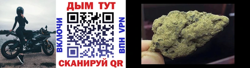 Конопля OG Kush  Вяземский 